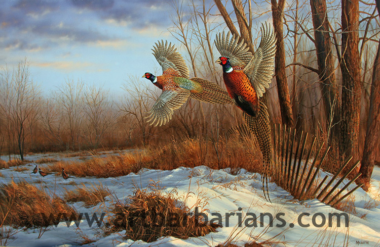 Wildlife Art Prints Plus Original Paintings With A Wide Selection From Wildlife Art Prints Plus Original Paintings With A Wide Selection From